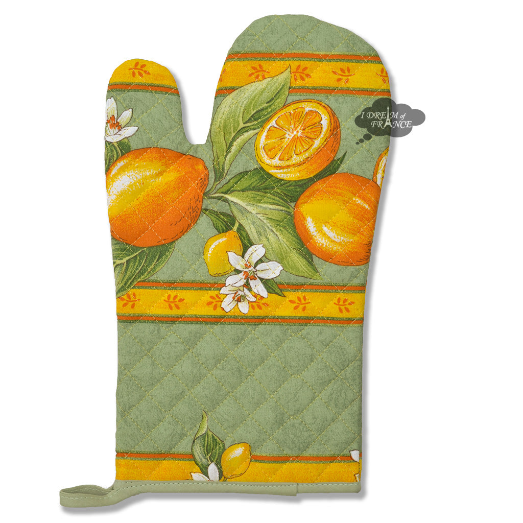 https://www.idreamoffrance.com/cdn/shop/products/tissus-toselli-lemons-green-french-cotton-oven-mitt-asqw_1600x.jpg?v=1631666966
